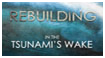 Film - Rebuilding in the Tsunami's Wake