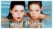 Film - Wild Things