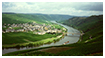 Color Photography - Vineyards of the Rhein