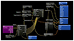 Op-Ed Writing - A Multi-Disciplinary, Nodal Approach to Design Using Adaptive Complexity