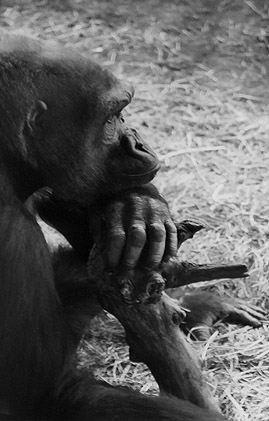 Black & White Photography - The Thinker