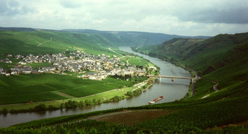 Color Photography - Vineyards of the Rhein