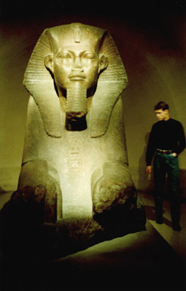 Color Photography - Sphinx