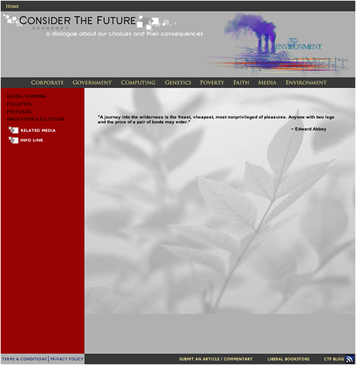 Web Design - Consider The Future