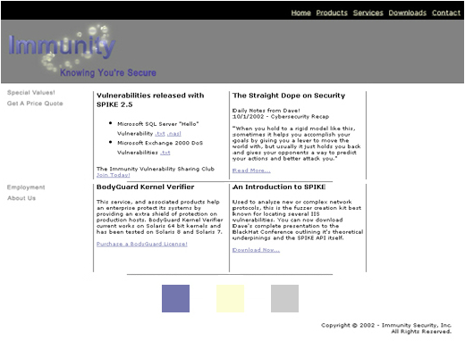 Web Design - Immunity Security