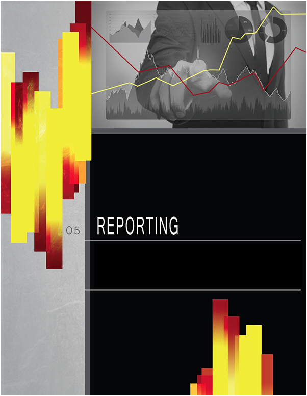 Technical Writing - Financial Analysis Guide